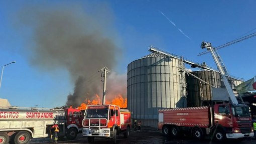 Incêndios: Movimento alega problemas respiratórios em Cercal do Alentejo, autoridades desconhecem