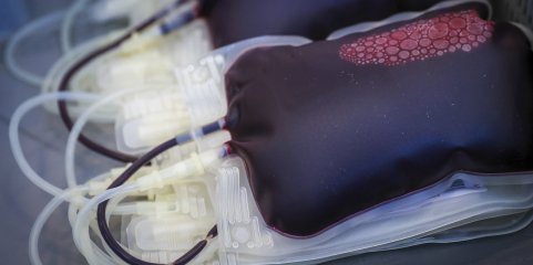 Instituto Português do Sangue repudia críticas da federação de dadores sobre campanha