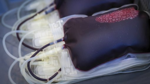 Instituto Português do Sangue repudia críticas da federação de dadores sobre campanha