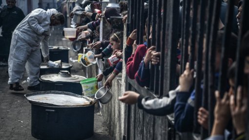 Médio Oriente: Cem crianças morrem de fome em Gaza - ONG