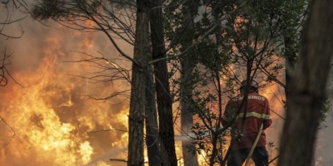 Incêndios: Canadair entram em ação nos fogos do Sabugal que ameaçam aldeias