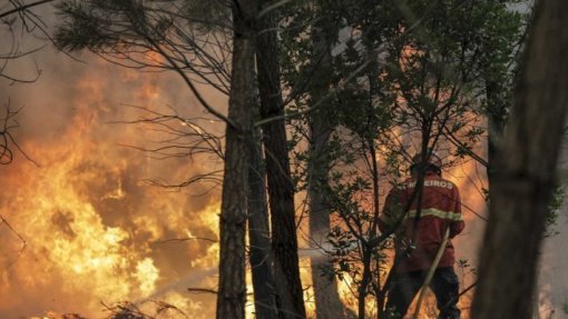Incêndios: Canadair entram em ação nos fogos do Sabugal que ameaçam aldeias