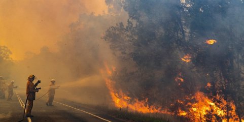 Incêndios: Fogo do Sabugal já passou para concelho de Penamacor
