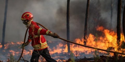 Incêndios: Homem detido por suspeita de dois fogos em Moimenta da Beira