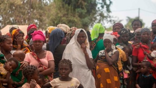 Moçambique/Ataques: Governo pede mobilização interna de apoio humanitário para Cabo Delgado