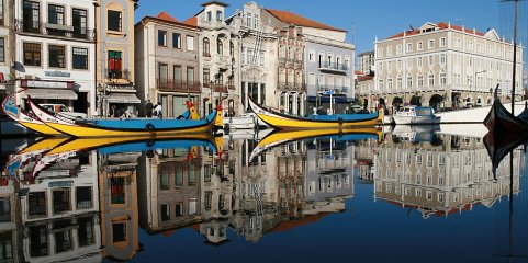 Universidade de Aveiro e centro clínico lançam campanha para doação de corpos à ciência