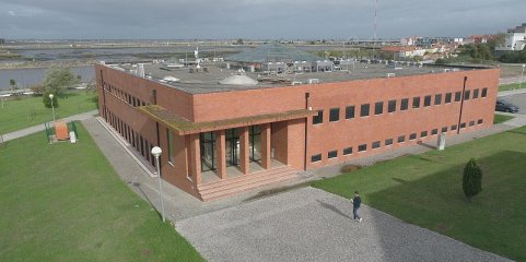Projeto sobre erros em comunicações recebe financiamento do Conselho Europeu de Investigação