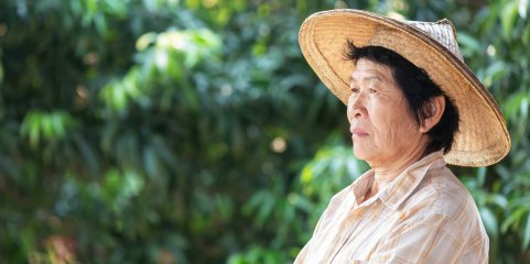Número de pessoas com 100 anos ou mais chega quase aos 100 mil no Japão