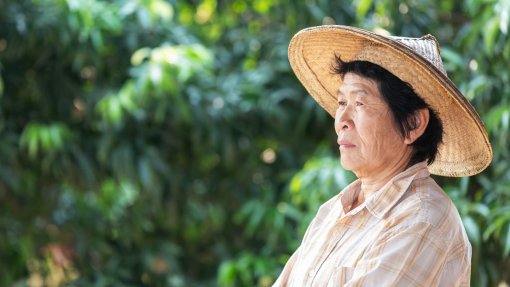 Número de pessoas com 100 anos ou mais chega quase aos 100 mil no Japão