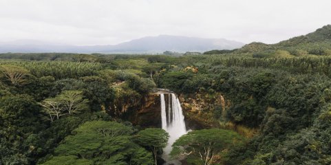 Florestas da Amazónia em terras indígenas reduzem a propagação de doenças - estudo