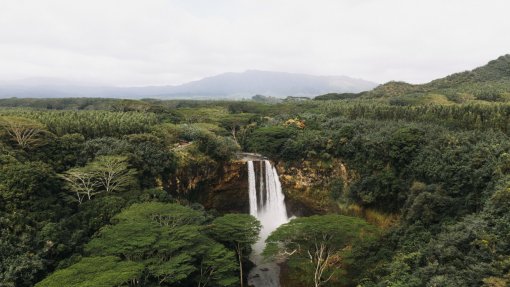 Florestas da Amazónia em terras indígenas reduzem a propagação de doenças - estudo