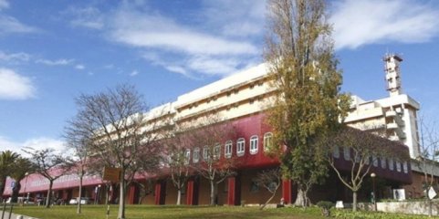 Associação pede respostas face a fecho da urgência de obstetrícia do Garcia de Orta