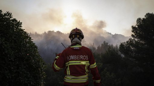 Incêndios: DGS divulga estratégias de equilíbrio emocional para bombeiros