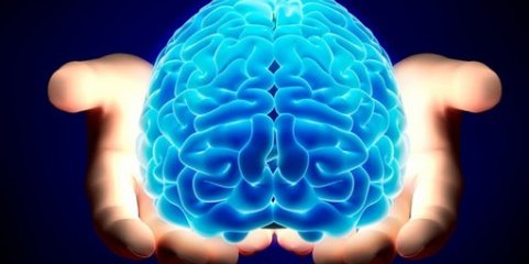 Cientistas de Coimbra investigam processamento cerebral de emoções positivas