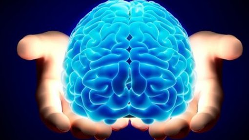 Cientistas de Coimbra investigam processamento cerebral de emoções positivas