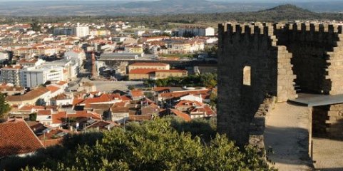 Castelo Branco debate projeto para criar um centro ciência viva ligado à saúde