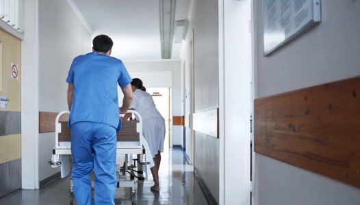 Bastonário pede rápida regulamentação para acompanhamento de grávidas por enfermeiros