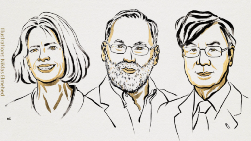 Nobel da Medicina atribuído a Mary E. Brunkow, Fred Ramsdell e Shimon Sakaguchi