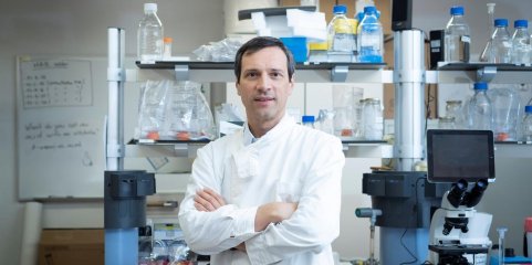 Nobel premiou investigação que abriu nova frente no combate a doenças difíceis - investigador