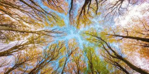 Todos os líderes europeus de Ambiente testados a &quot;químicos eternos&quot; deram positivo