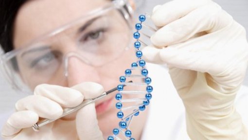 Investigadores espanhóis detetam e eliminam mutações causadoras de vários tipos de cancro