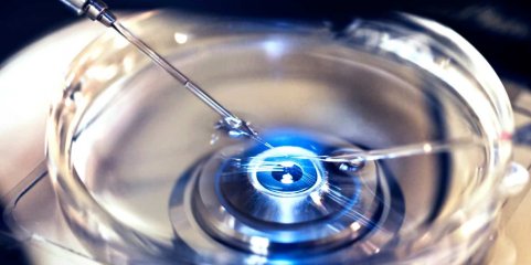 Tarifas: Merck e EUA acordam baixa no preço de medicamentos para fertilização