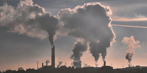 Coimbra integra consórcio europeu para dar resposta à poluição por nitratos