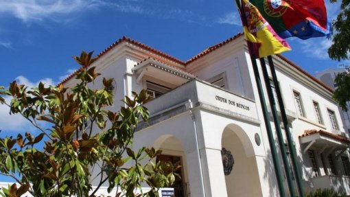 COIMBRA: Livro “A minha avó é pequenina” apresentado na quinta-feira