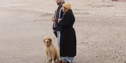 Cuidadores de animais reúnem-se em Lisboa para alertar para escassez das esterilizações