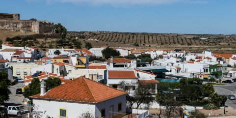 Algarve aposta na economia azul para mudar futuro da alimentação e farmacologia