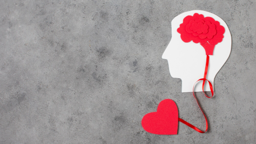 A revolução silenciosa da saúde há 50 anos é hoje evocada em Lisboa