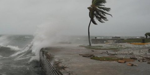 Mais de 700.000 crianças precisam “urgentemente de alimentos" após furacão Melissa