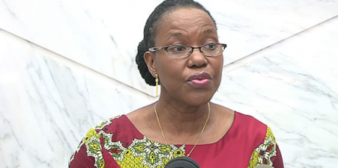 Líder de comissão parlamentar regista concordância com proposta para SNS moçambicano