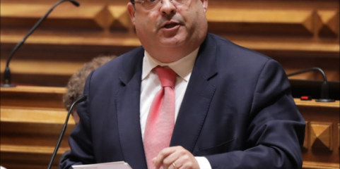 Deputado do PS quer apoios do Governo contra vírus da língua azul no distrito de Beja