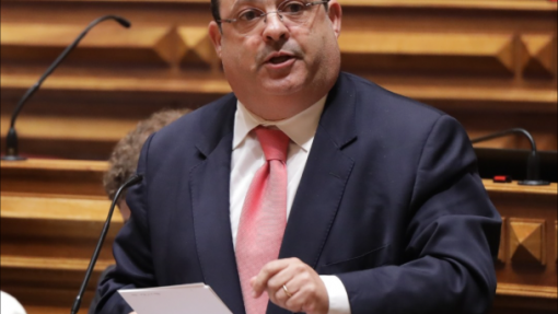 Deputado do PS quer apoios do Governo contra vírus da língua azul no distrito de Beja