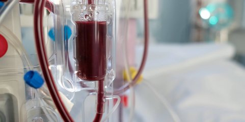 BE/Açores quer esclarecimentos do Governo Regional sobre privatização da hemodiálise no HDES