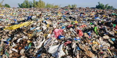 Associação ambientalista apresenta queixa à Comissão Europeia sobre descargas ilegais em aterros