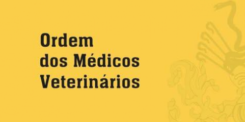 Veterinários pedem justiça fiscal e IVA a 6% para os animais de companhia