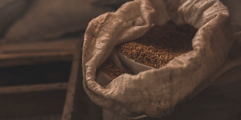 FAO deu 70 toneladas de sementes a famílias moçambicanas afetadas pelo &#039;La Niña&#039;