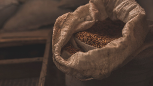 FAO deu 70 toneladas de sementes a famílias moçambicanas afetadas pelo &#039;La Niña&#039;