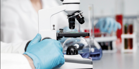 Investigadores portugueses testam forma de bloquear o vírus da gripe A antes da infeção