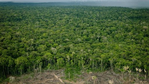 Ambientalistas entre ceticismo e pessimismo quanto a bons resultados da COP30