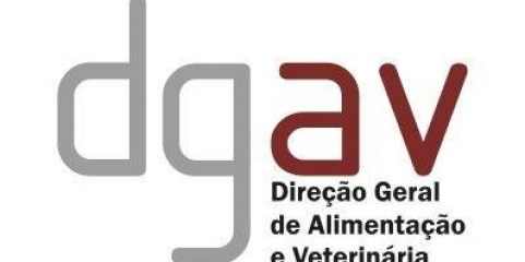 Risco de disseminação da gripe das aves é elevado – DGAV