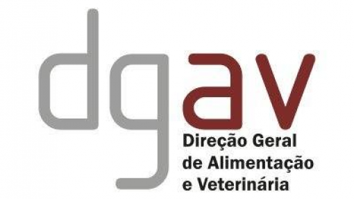 Risco de disseminação da gripe das aves é elevado – DGAV