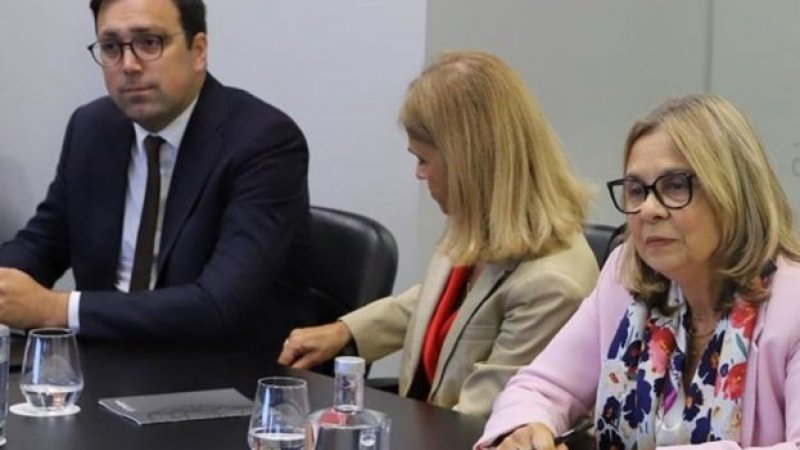 Ministra da Saúde vai reunir-se com médicos tarefeiros no final do mês