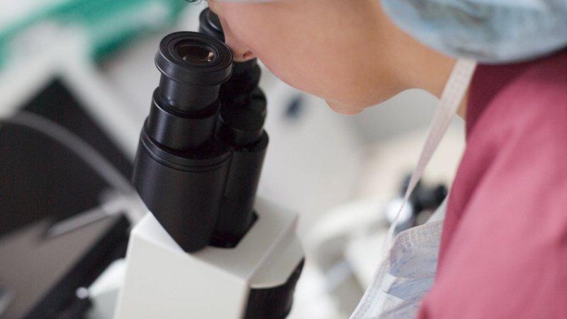 Autoridade nacional do medicamento acelera autorização de ensaios clínicos