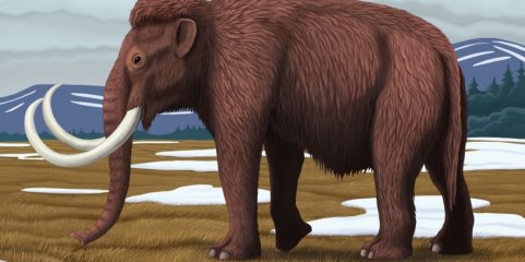 RNA mais antigo do mundo extraído de mamute-lanoso com 40 mil anos