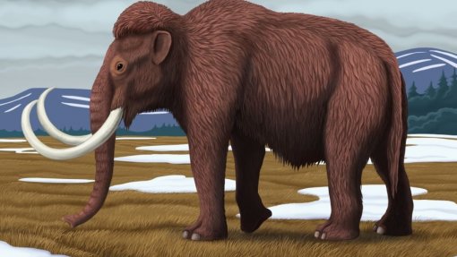 RNA mais antigo do mundo extraído de mamute-lanoso com 40 mil anos