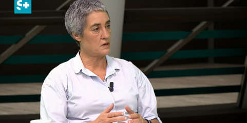 Sindicato dos Enfermeiros Portugueses estima que faltem 2.000 profissionais no Algarve