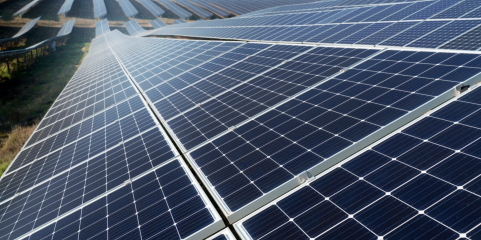 Comunidade da Beira Baixa opõe-se ao projeto da central solar fotovoltaica Sophia